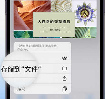 亳州apple维修中心分享iPhone文件应用中存储和找到下载文件