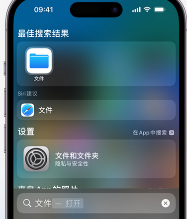 亳州apple维修中心分享iPhone文件应用中存储和找到下载文件