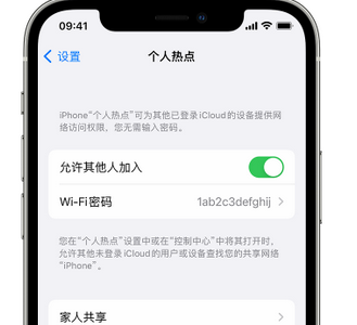 亳州apple服务站点分享iPhone上个人热点丢失了怎么办 