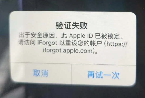 亳州iPhone维修分享iPhone上正常登录或使用AppleID怎么办 