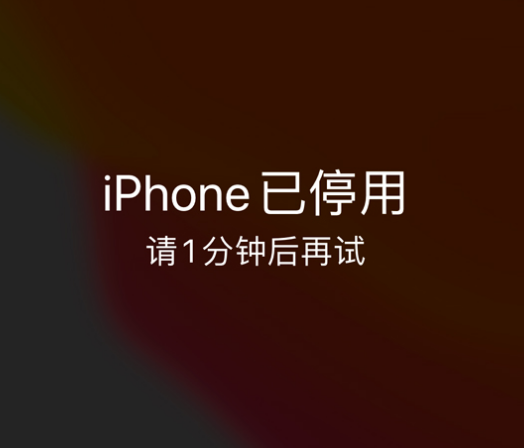 亳州苹果手机维修分享:iPhone 显示“不可用”或“已停用”怎么办？还能保留数据吗？ 