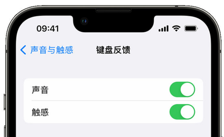 亳州苹果手机维修分享iPhone 14触感键盘使用方法 