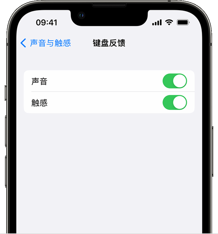 亳州苹果14维修店分享如何在 iPhone 14 机型中使用触感键盘 