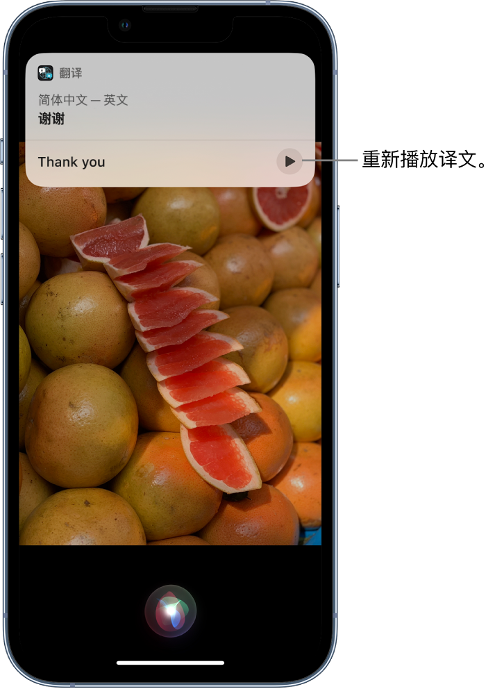 亳州苹果14维修分享 iPhone 14 机型中使用 Siri：了解 Siri 能帮你做什么 