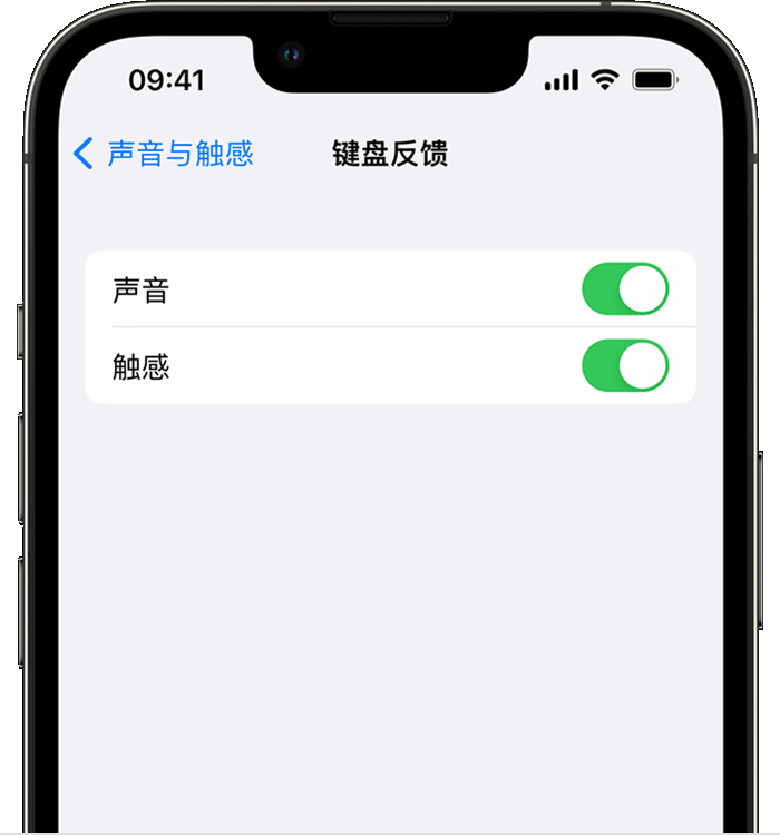 亳州苹果14维修分享iPhone 14 系列机型如何开启键盘声音或触感反馈 
