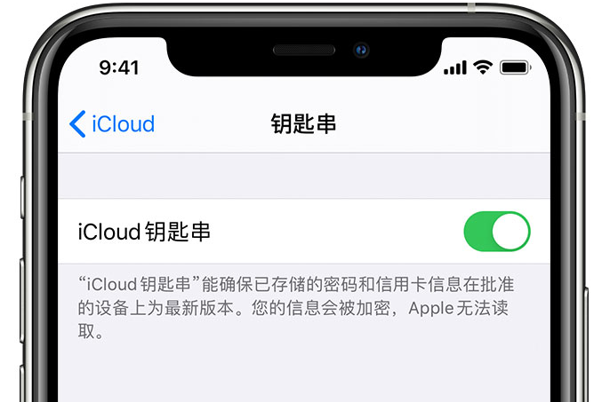 亳州苹果手机维修分享在 iPhone 上开启 iCloud 钥匙串之后会储存哪些信息 