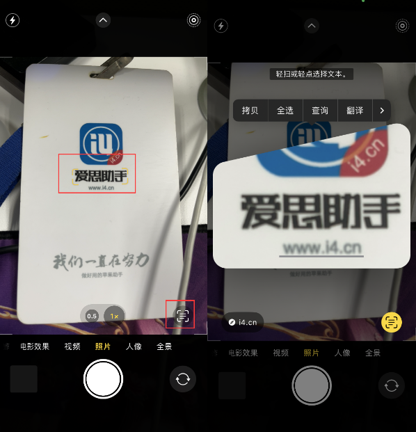 亳州苹果手机维修分享升级iOS 16后如何通过相机翻译文本 