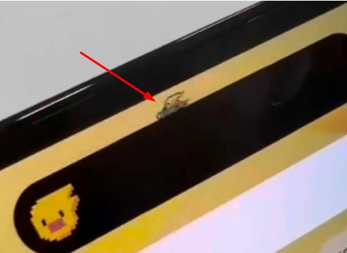 亳州苹果14维修分享iPhone 14 Pro Max灵动岛怎么养宠物 