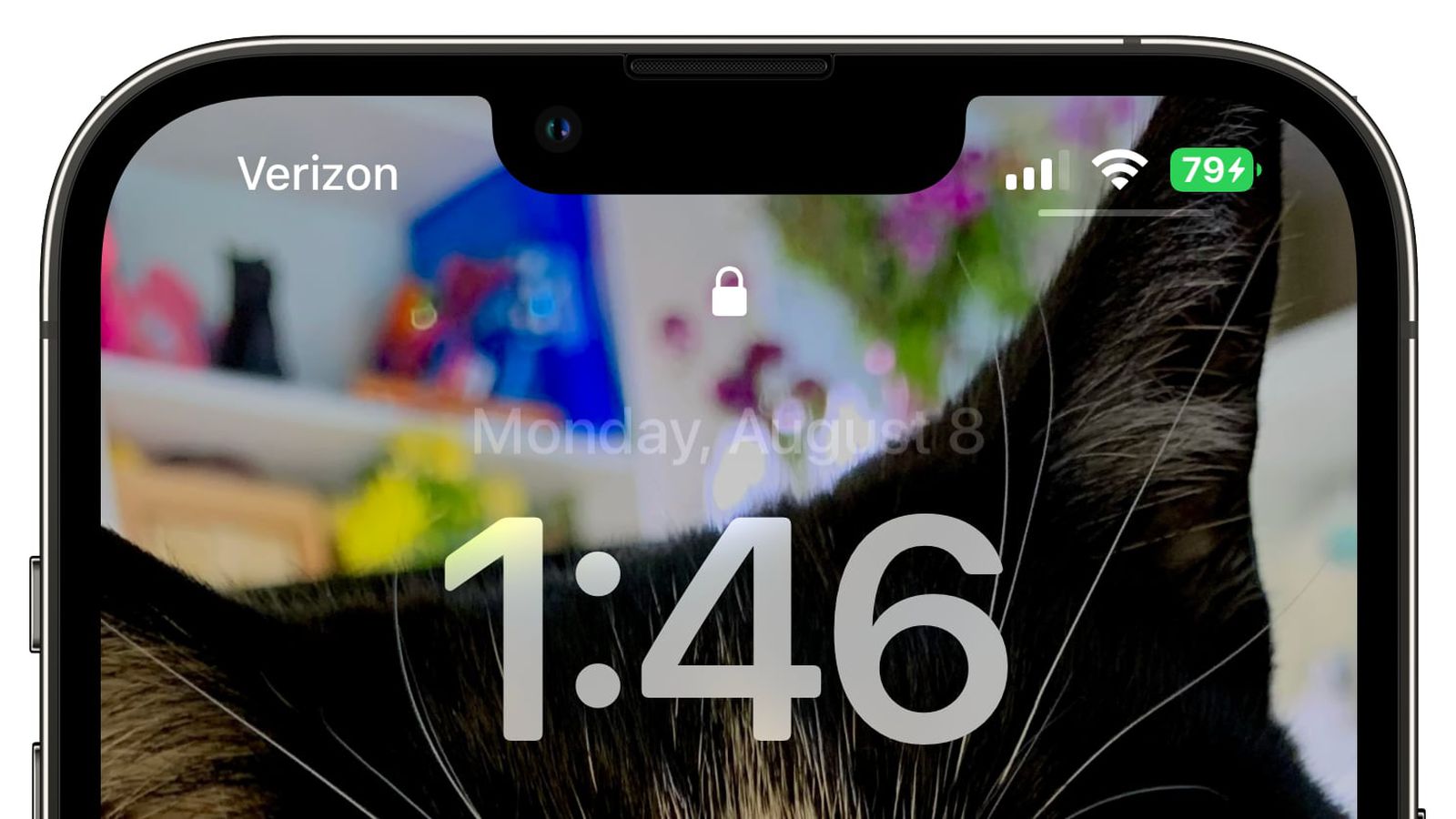 亳州苹果手机维修分享iOS 16 beta 5 支持状态栏显示电池百分比，如何开启？支持哪些机型 