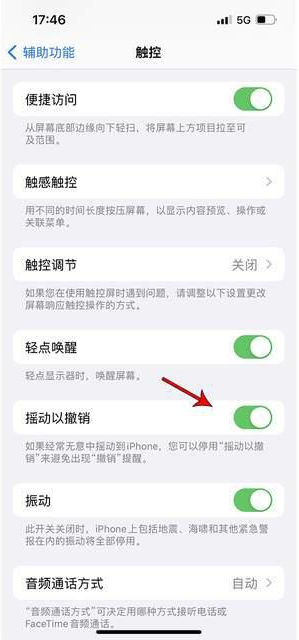 亳州苹果手机维修分享iPhone手机如何设置摇一摇删除文字 