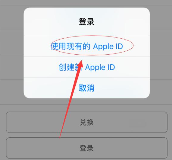 亳州苹果手机维修分享两台iPhone设备可以同时登录一个Apple ID吗 
