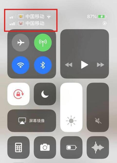 亳州苹果手机维修分享为 iPhone 12 双卡设置标签 