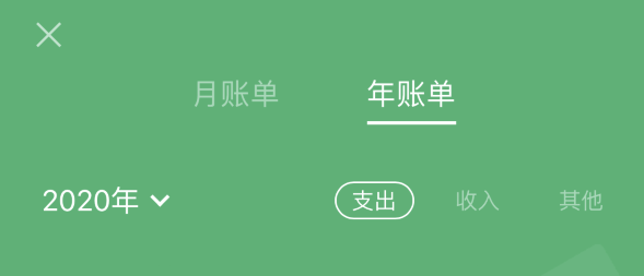 亳州苹果手机维修分享如何在 iPhone 上查看支付宝和微信年支出账单 